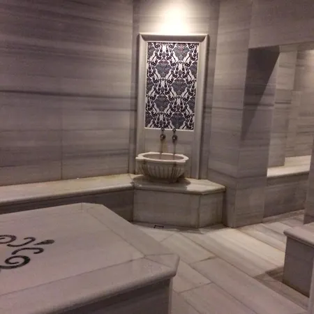 מלון דירות Armodies Termal Park Armutlu