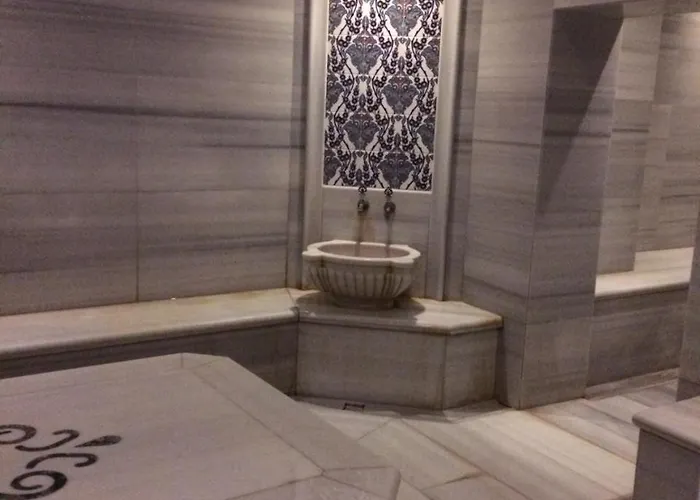 Appart hôtel Armodies Termal Park Armutlu